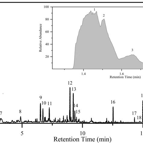 total ion chromatogram ms.